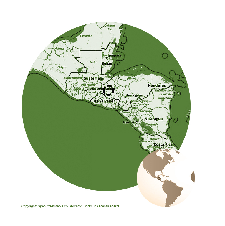 HONDURAS Strictly High Grown