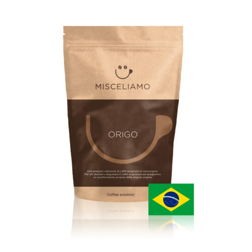 BRASILE SANTOS ESTEBAN CERRADO - Monorigine Arabica - naturale-0